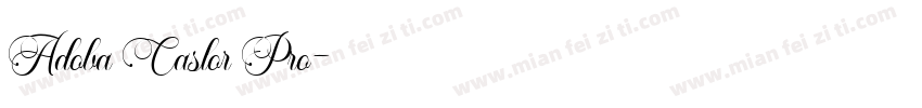 Adoba Caslor Pro字体转换